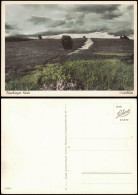 Ansichtskarte .Niedersachsen Lüneburger Heide Heideblüte 1950 - Lüneburger Heide