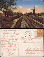 Ansichtskarte .Niedersachsen Windmühlen Windmill Lüneburger Heide 1919 - Lüneburger Heide