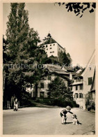 13114827 Werdenberg Kleiner Junge Mit Hund Schloss Werdenberg - Andere & Zonder Classificatie