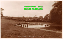 R355923 Chorley. Playing Pool. Astley Park. W. And H. Parkinson - World