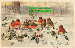 R355934 Bonne Annee. Birds. G. O. M. Postcard. 1913 - World
