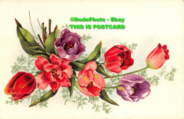 R355939 Red And Purple Tulips. Editions Gany. Postcard - World