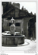 PIEVE  DI  CADORE (BL):  MONUMENTO  NAZIONALE  -  CASA  TIZIANO  -  FOTO  -  FG - Monumenti