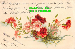 R355969 Red And White Colour Flowers. Postcard. 1903 - World