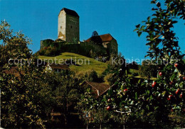 13093937 Sargans Schloss Sargans - Other & Unclassified