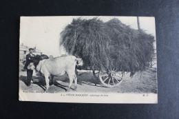 S-C 229 / France [64] Pyrénées-Atlantiques Types Basques. Attelage De Foin / 1912 - Altri & Non Classificati