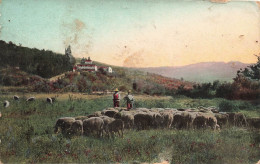 METIERS - Deux Bergers Avec Son Troupeau De Mouton - Colorisé - Carte Postale Ancienne - Landbouwers