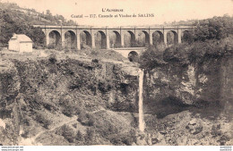 15 CASCADE ET VIADUC DE SALINS - Sonstige & Ohne Zuordnung