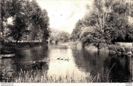 72 LA CHARTRE SUR LE LOIR LES BORDS DU LOIR CPSM - Altri & Non Classificati