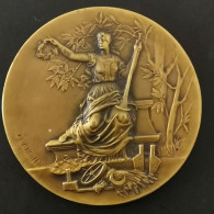 MEDAILLE BRONZE ASSURANCE GAN / 49mm 43.6g - Autres & Non Classés