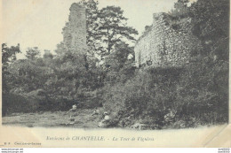 03 ENVIRONS DE CHANTELLE LA TOUR DE VIGNERES - Autres & Non Classés