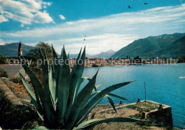 13050657 Ascona Lago Maggiore Panorama Ascona Lago Maggiore - Other & Unclassified