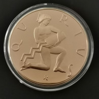 MEDAILLE BRONZE Franklin Mint SIGNE DU ZODIAC VERSEAU / 39mm - Otros & Sin Clasificación