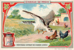 Liebig  Oiseaux De Proie - Liebig