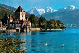 13016587 Thunersee Schloss Oberhofen Mit Eiger Moench Und Jungfrau Thunersee - Sonstige & Ohne Zuordnung