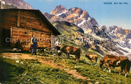 13014197 Spluegen GR Auf Der Alp Kuehe Bergbauern Alpen Spluegen GR - Autres & Non Classés