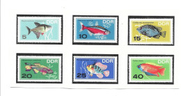 DF62 -TIMBRES DDR - POISSONS - Fische