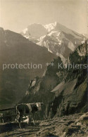13010927 Kandersteg BE Alp Golitschen Balmhorn Altels Berner Alpen Kandersteg - Other & Unclassified