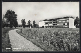 AK Wetzikon, Wegpartie Vor Der Kantonsschule  - Andere & Zonder Classificatie