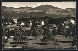 AK Wetzikon, Ober-Wetzikon, Ortsansicht Mit Bachtel  - Autres & Non Classés