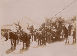 Photo Afrique Algérie Cavalcade Du 2 Mai à Miliana Char Souvenir Mission Géodésique Militaire Boulard Gentil - Old (before 1900)