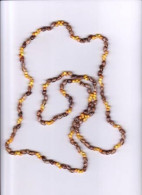 Collier De Coquillages De Polynésie Française TAHITI  _Dtahi31 - Conchiglie