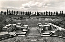 12975009 Brugg AG Roemisches Amphitheater Vindonissa Antike Staette Brugg AG - Other & Unclassified