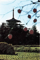 JAPON - Yakushiji Temple In Autumn - Vue Générale - De L'extérieure - Carte Postale - Altri & Non Classificati
