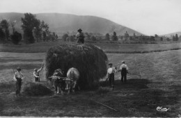 CHAVANNES-sur-SURAN - Les Fenaisons - CPSM Petit Format - Belle Carte TBE - Zonder Classificatie