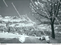 Bi616 Cartolina Cortina Monte Cristallo Provincia Di Belluno - Belluno