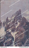 As7 Cartolina Il Cimon Della Pala Provincia Di Belluno - Belluno