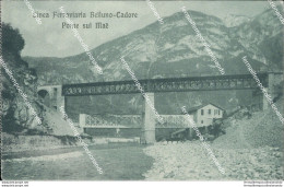 Ba296 Cartolina Linea Ferroviaria Belluno Cadore Ponte Mae' Veneto - Belluno