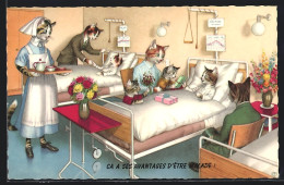 AK Katzen Bei Besuch Im Krankenhaus  - Katten