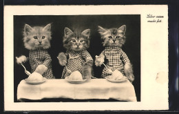 AK Drei Katzen In Kleidern Beim Essen, Vermenschlichte Tiere  - Autres & Non Classés