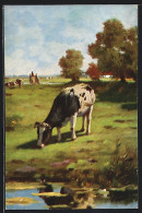 AK Grasende Kuh Am Wasser  - Kühe