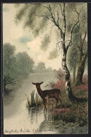 Künstler-AK Meissner & Buch (M&B) Nr. 1229: Wald-Idyll, Uferpartie Mit Rehen  - Sonstige & Ohne Zuordnung