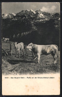 AK Brienz, Weidende Kühe An Der Brienz-Rothorn-Bahn  - Vaches