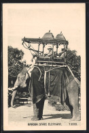 AK Baroda State Elephant, Reitelefant  - Éléphants