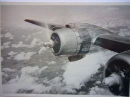 Avion / Airplane / SABENA / Douglas DC-6 / Above The Clouds / Airline Issue - 1946-....: Moderne