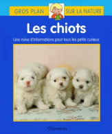 Les Chiots (2000) De Yi-Wen Chang - Animales