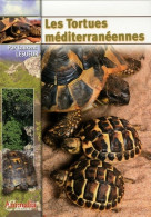 Les Tortues Méditerranéennes (2007) De Laurent Lesueur - Animaux