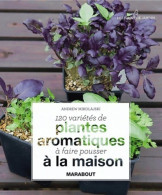 120 Variétés De Plantes Aromatiques à La Maison (2010) De Andrew Mikolajski - Jardinería