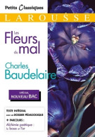 Les Fleurs Du Mal (2019) De Charles Baudelaire - Sonstige & Ohne Zuordnung