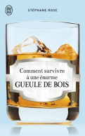 Comment Survivre à Une énorme Gueule De Bois (2013) De Stéphane Rose - Humor
