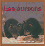 Les Oursons (1992) De Kate Petty - Tiere