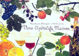 Vins Apéritifs Maison (2011) De Marie-Françoise Delarozière - Gastronomía