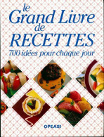 Le Grand Livre De Recettes. 700 Idées Pour Chaque Jour (1992) De Collectif - Gastronomia