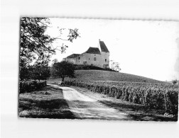 LOUCHY MONTFAND : Le Château De Montfand Et Le Vignoble - Très Bon état - Autres & Non Classés