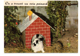 On A Trouvé Un Coin Peinard , Lapin ,tortue - Other & Unclassified