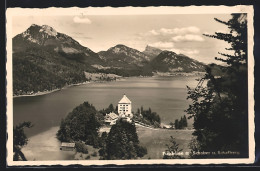 AK Fuschl, Fuschlsee Mit Schober Und Schafberg  - Sonstige & Ohne Zuordnung